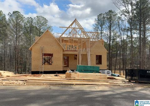 198 RIVER BIRCH ROAD CHELSEA AL 35043