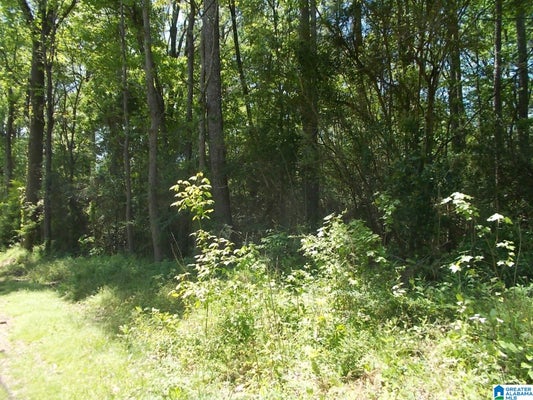 71 SWINDLE DR # 1, ADAMSVILLE, AL 35005 - Image a4a2fc8572ca722f296c82475b2b1ef2/3328327451