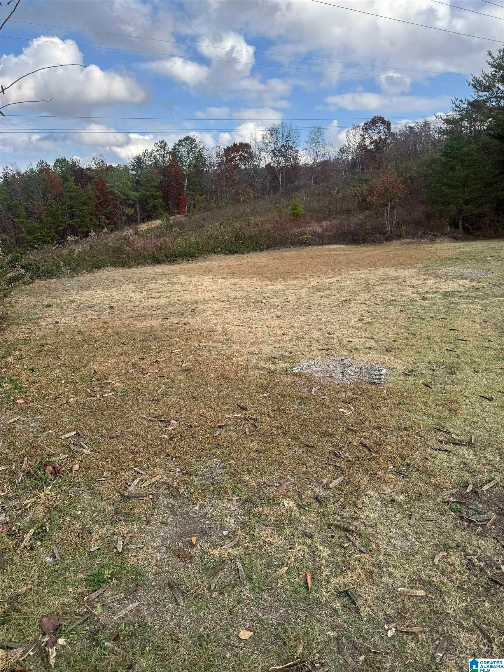 4329 Hathaway Ln,Unit 502, Mount Olive, AL 35117