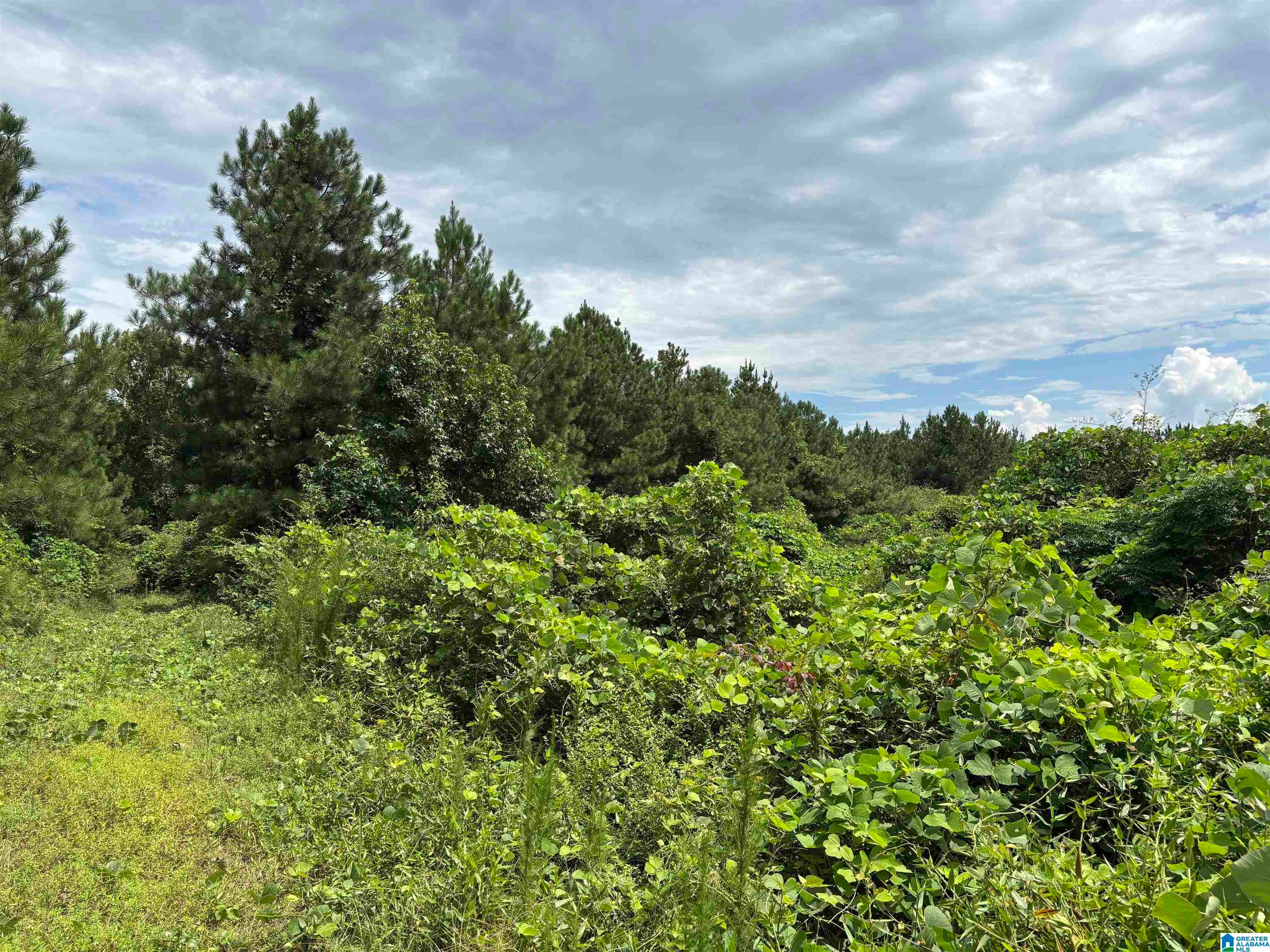 COUNTY ROAD 65 1