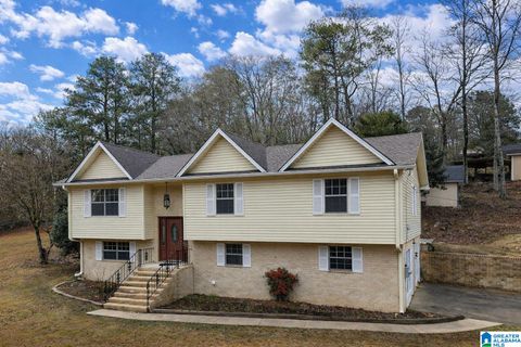 1445 NAVAJO TRAIL ALABASTER AL 35007