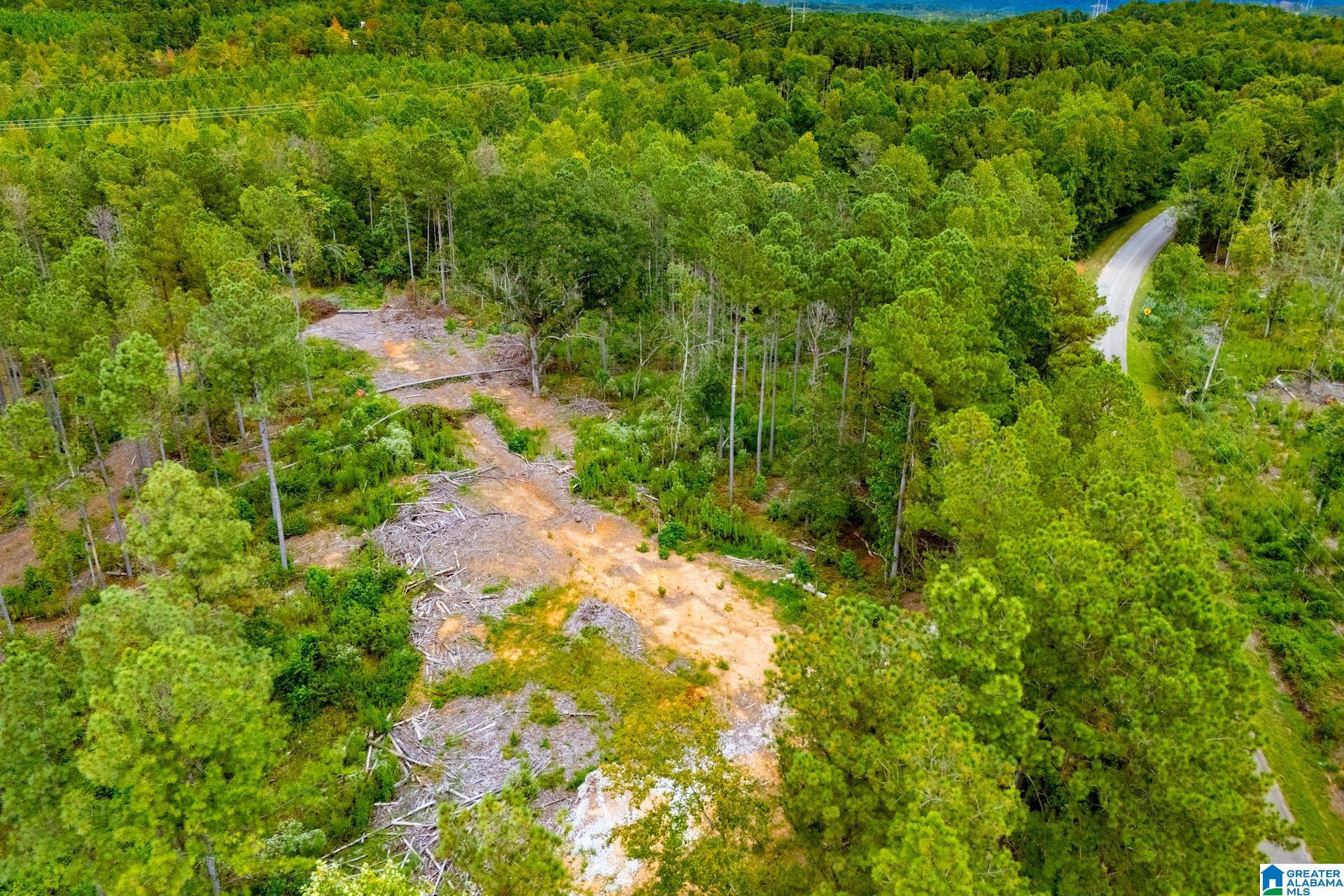 80.73 acres COUNTY ROAD 99 00