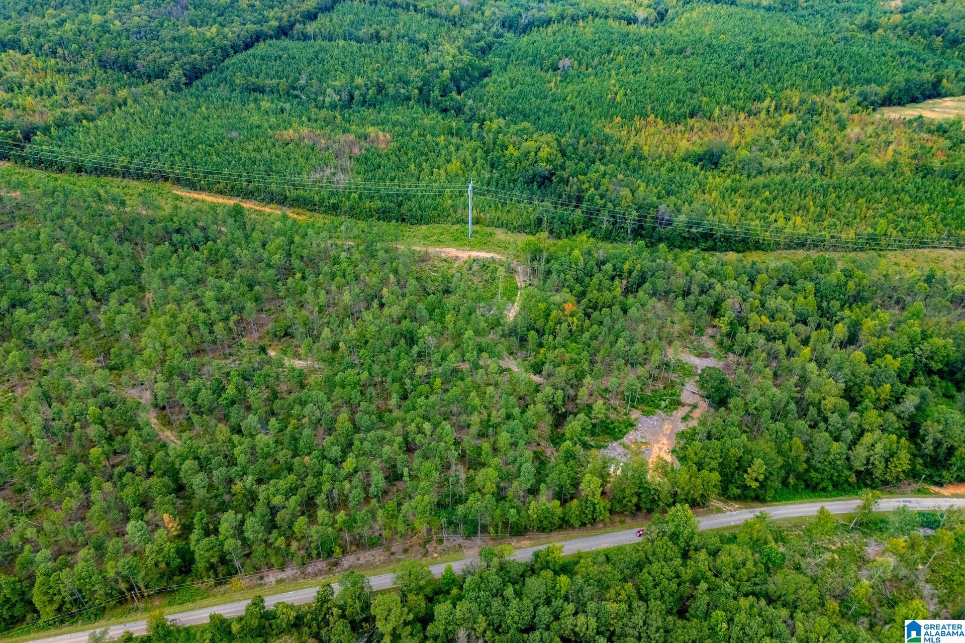 80.73 acres COUNTY ROAD 99 00