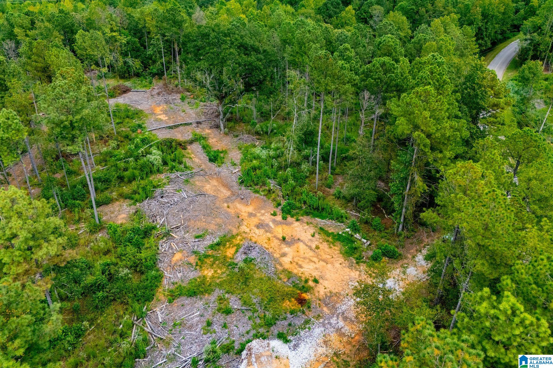 80.73 acres COUNTY ROAD 99 00