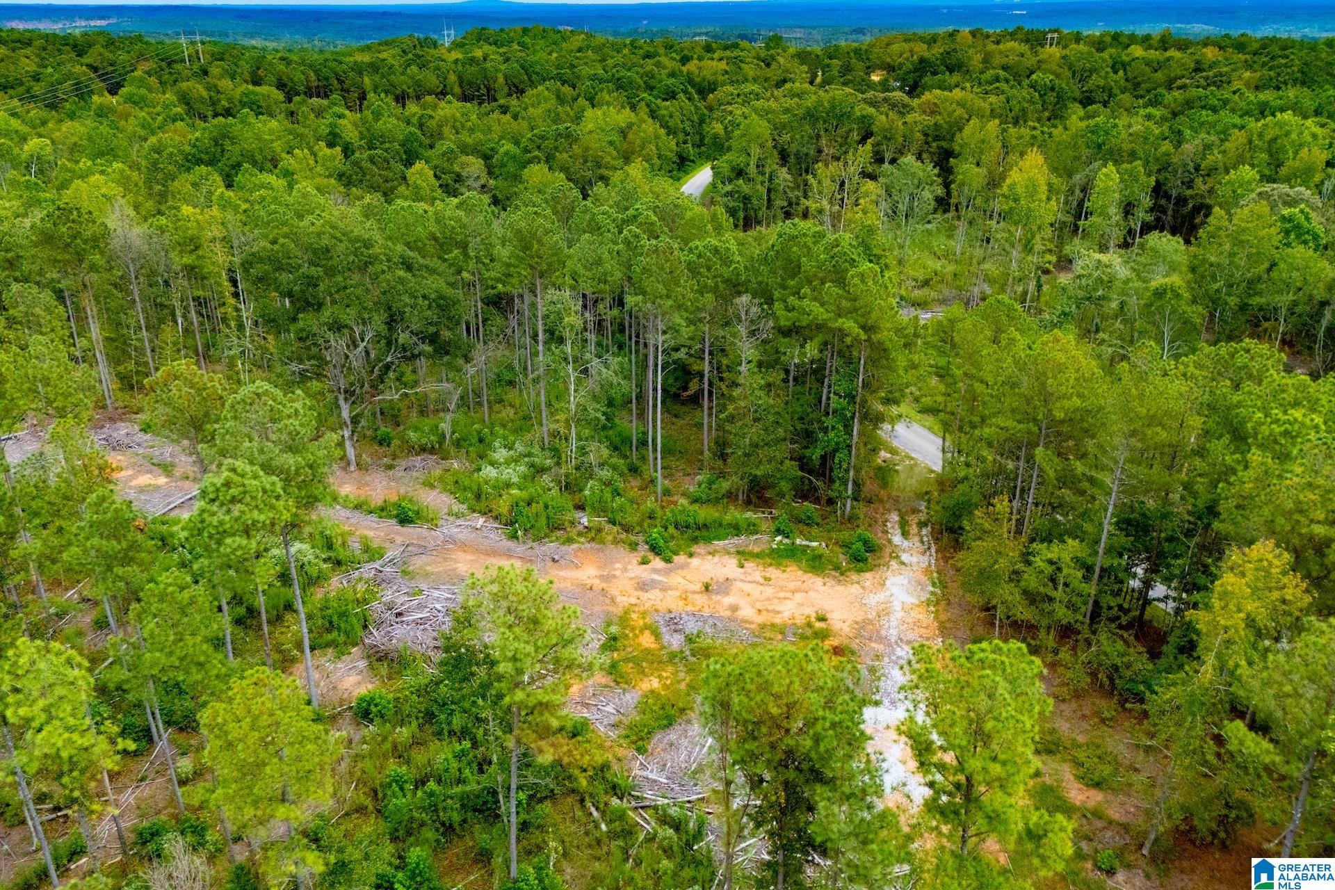 80.73 acres COUNTY ROAD 99 00
