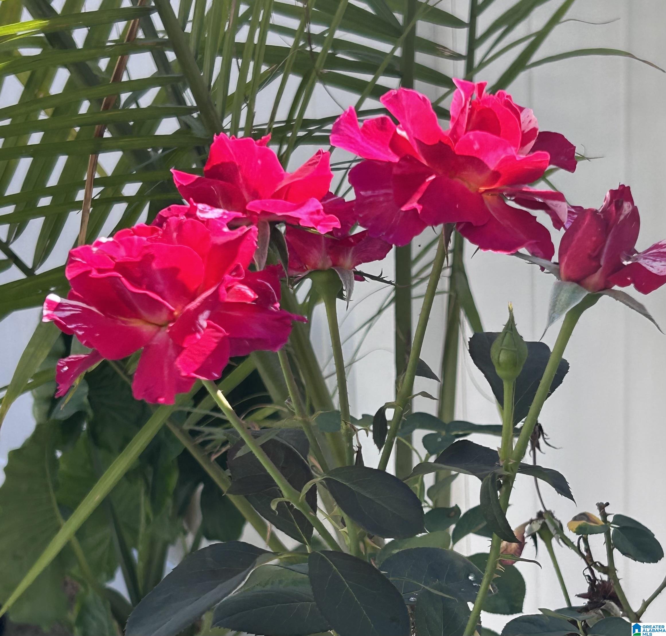 4027 SADDLE RUN CIRCLE