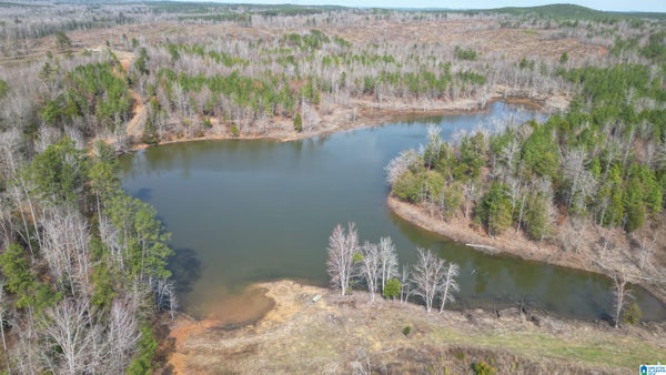 CENTREVILLE ST, MARION, AL 36756 - Image a5be6456dacd26eaaee531d3f6442e18/3497997511