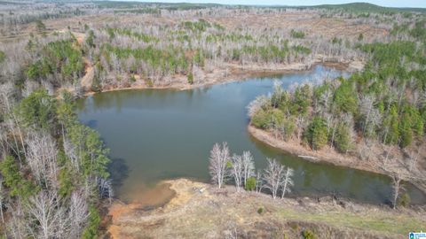 o BLUEBIRD LANE 1 CENTREVILLE AL 35042