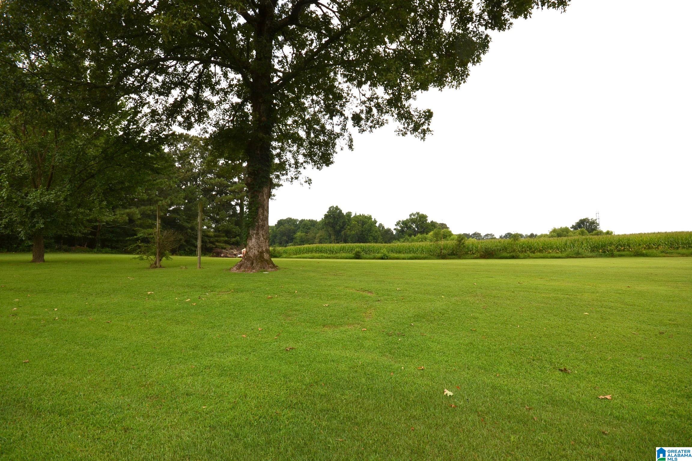 4433 COUNTY ROAD 1223