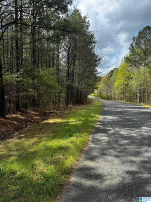 2140 GLOVERS BEND RD # 1, GARDENDALE, AL 35071 - Image a5e5e2a2256c8b258de233d52c4190bb/1138774030