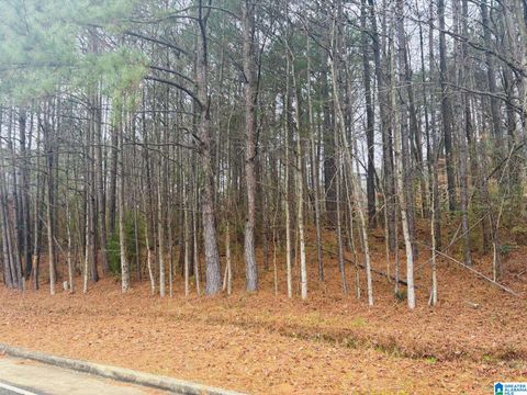 3874 BELMONT ROAD 5 & 6 IRONDALE AL 35210