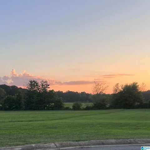 4901 MICHAEL DRIVE Lot #1 DORA AL 35062