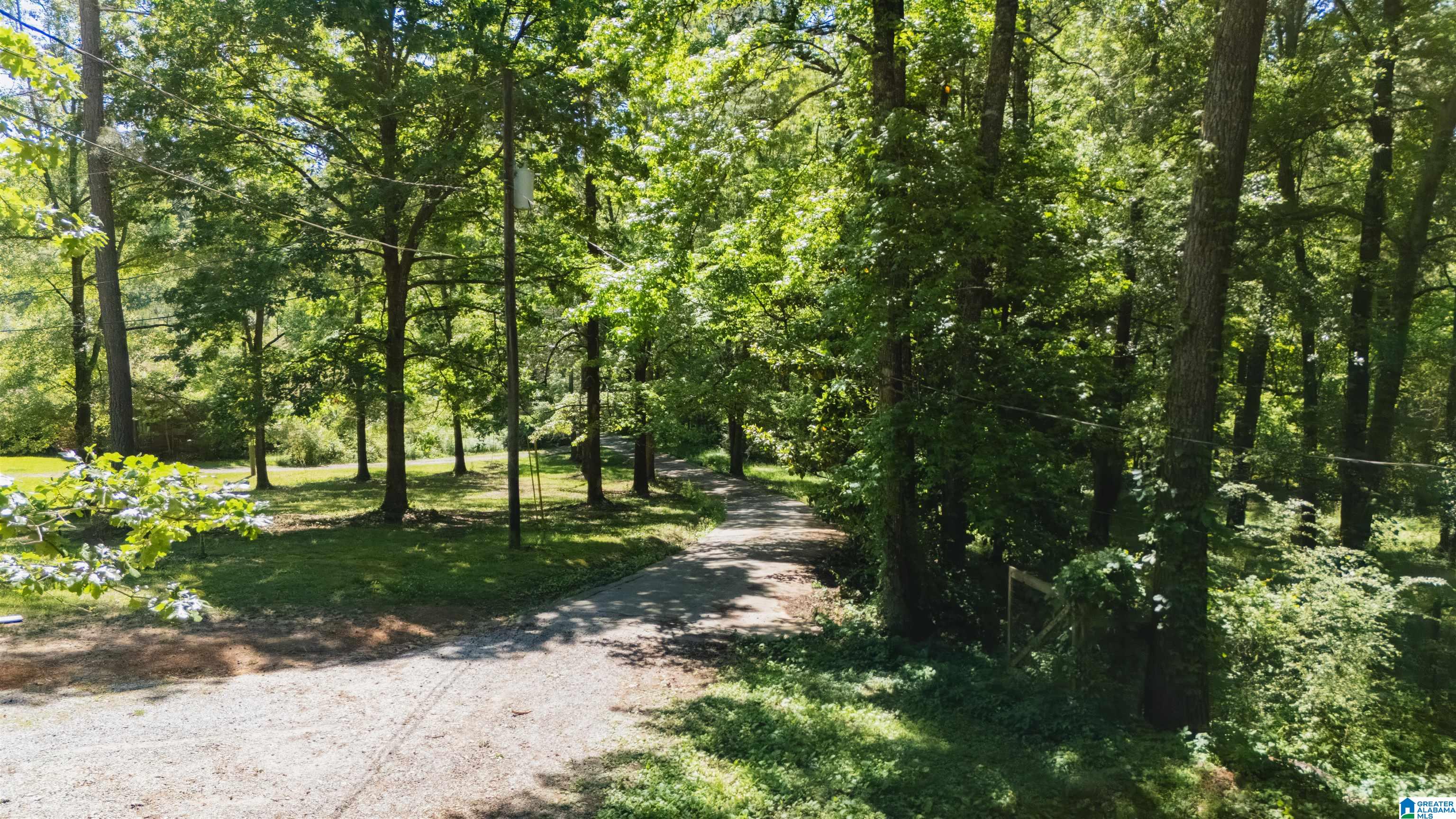 2559 COOK SPRINGS ROAD