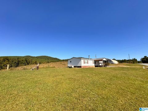 11791 SHOAL CREEK DRIVE ASHVILLE AL 35953