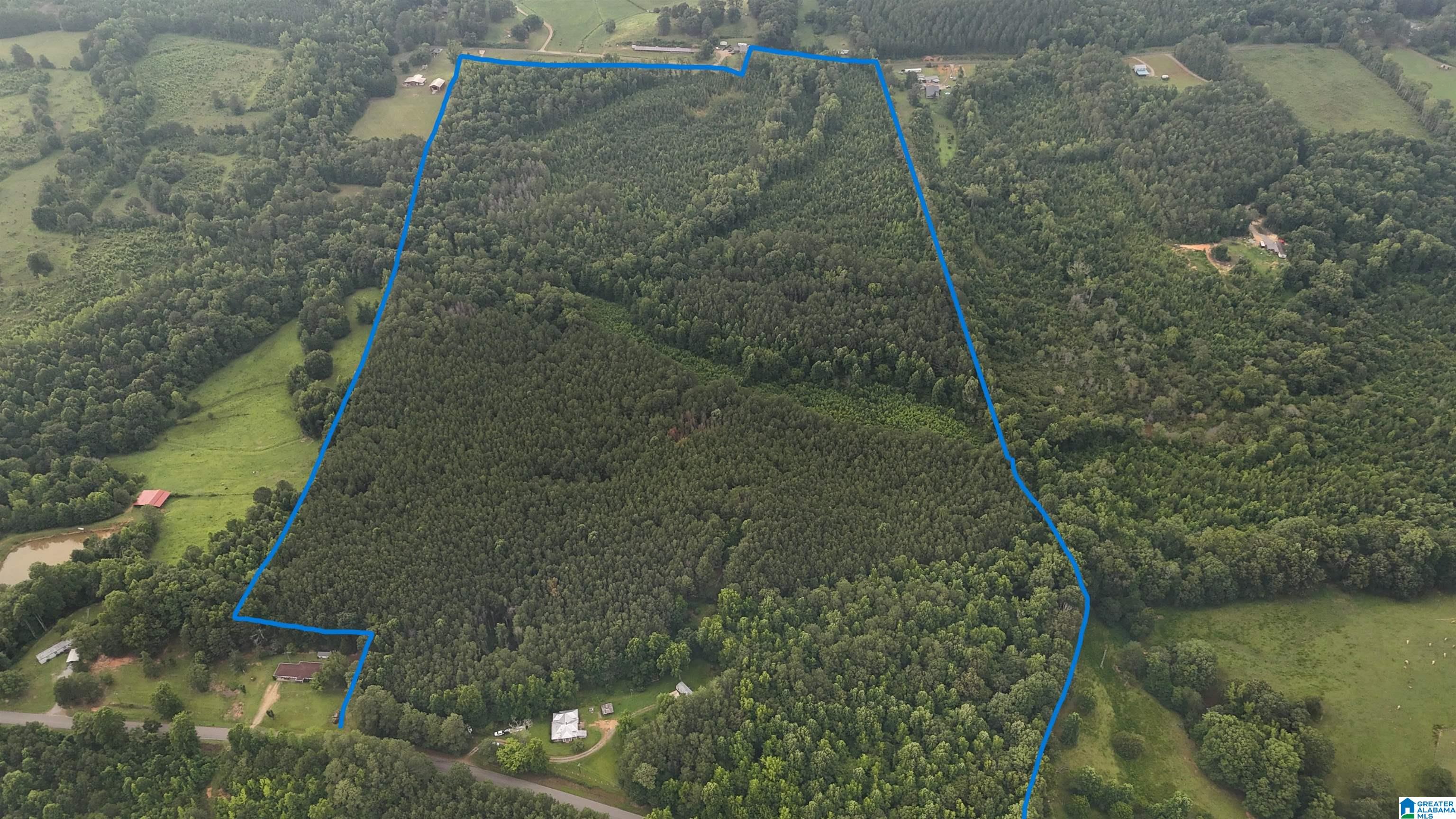 12482 COUNTY ROAD 19 0