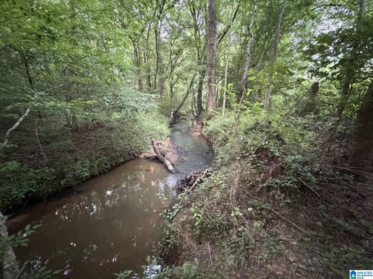12482 COUNTY ROAD 19 # 0, HEFLIN, AL 36264 - Image a846d0cdeffce1ec37ffd53b4acdbe72/3876879389