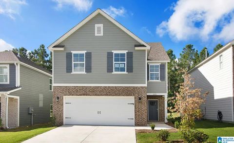 203 CHELSEA PARK ROAD CHELSEA AL 35043