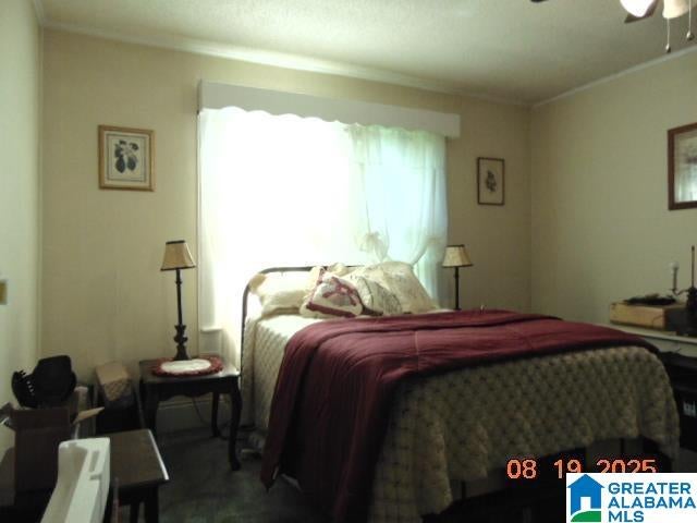 4699 COUNTY ROAD 43 - Photo 4