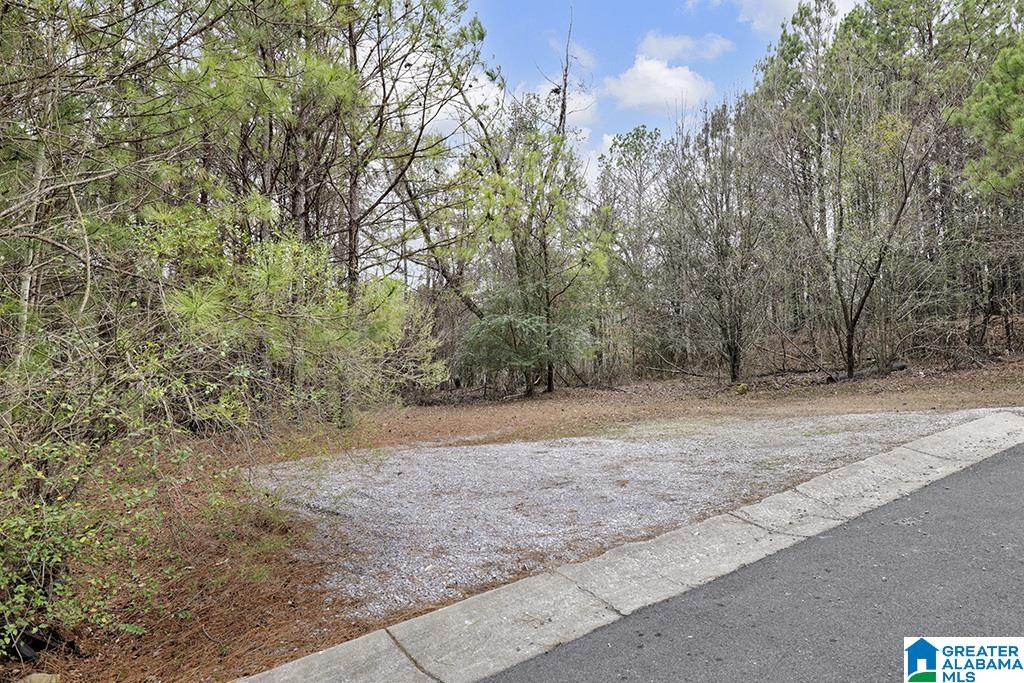 495 SCENIC VIEW LANE 15A