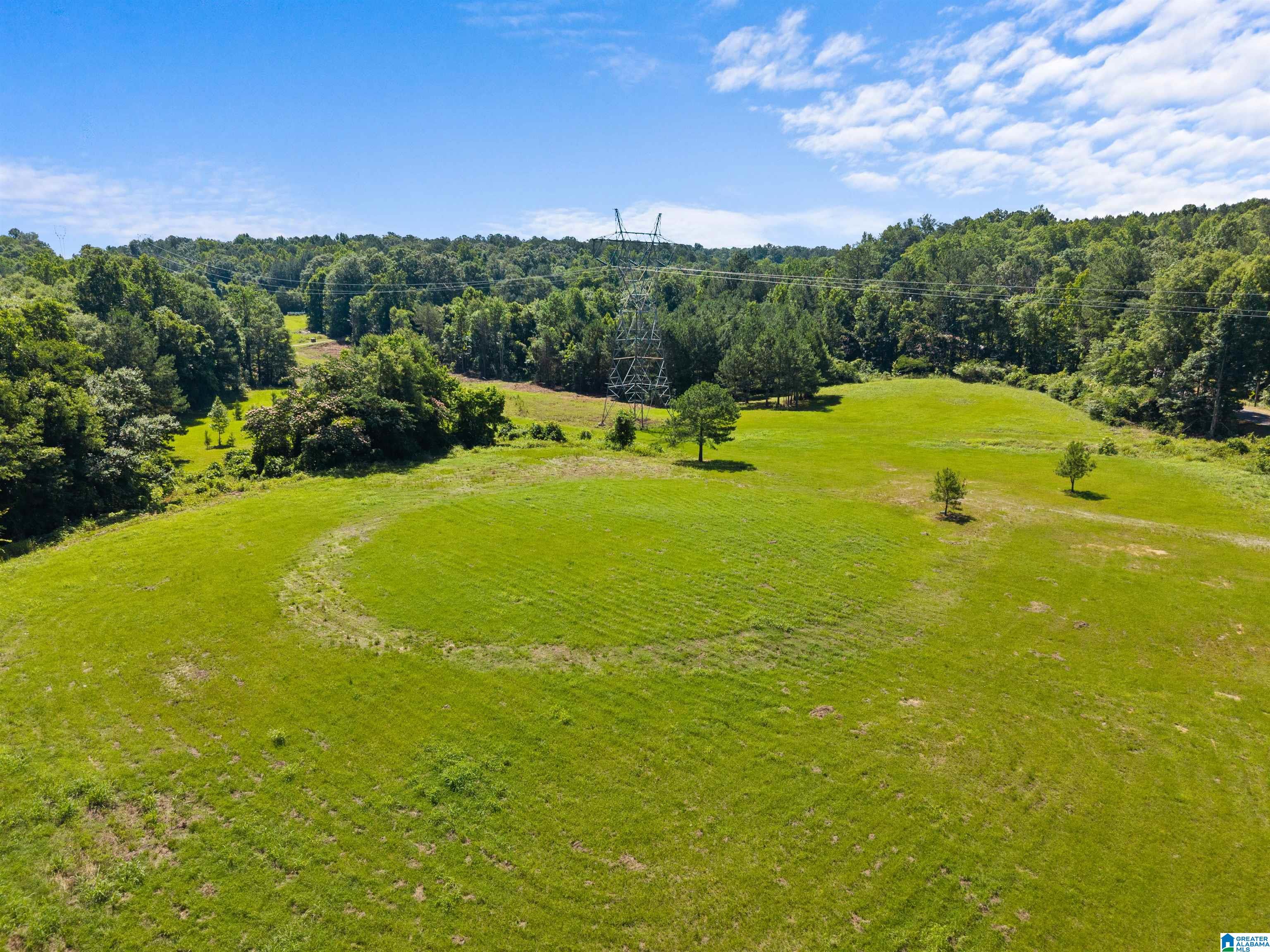 7240 POCAHONTAS ROAD Lot 1