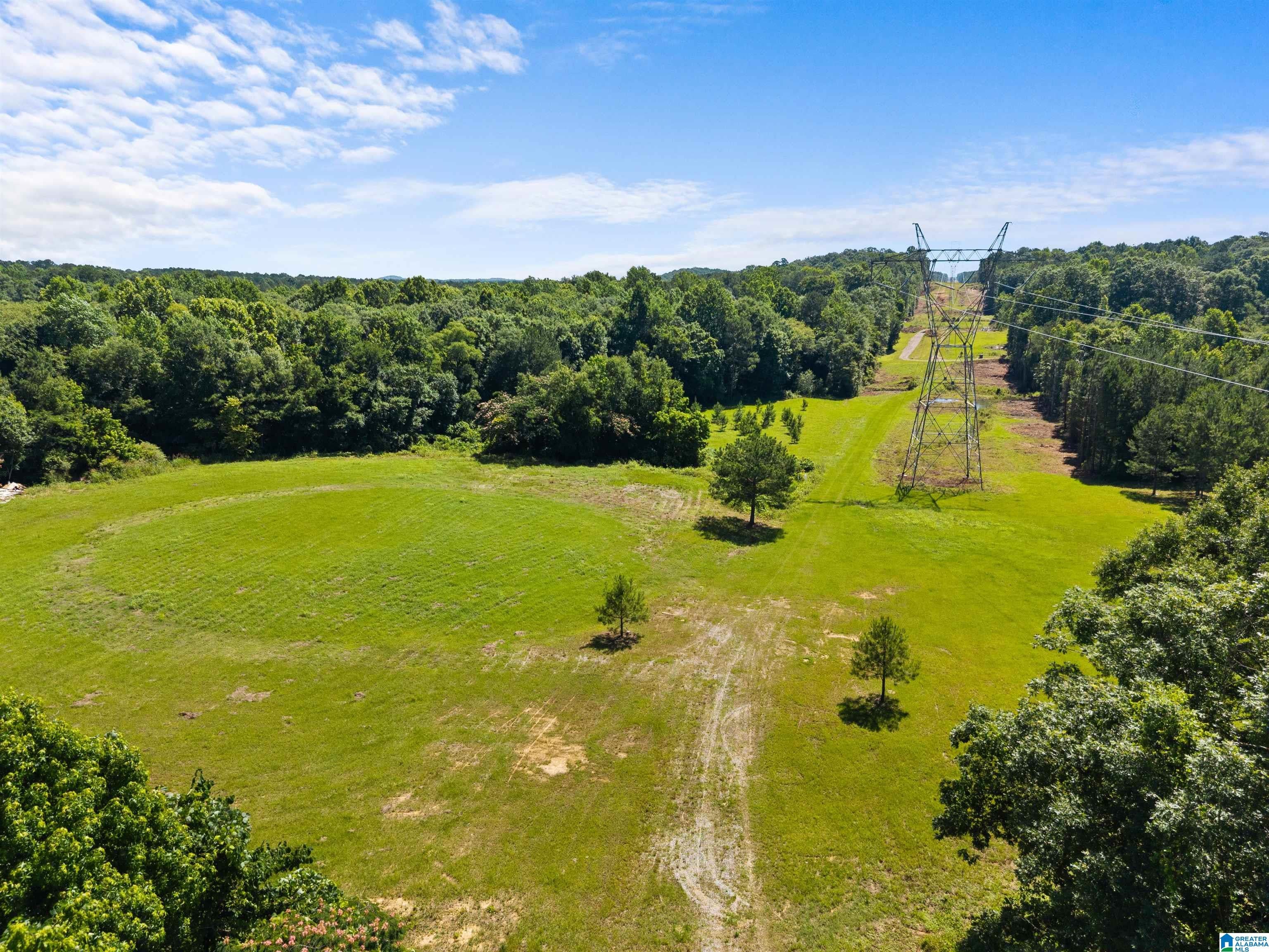 7240 POCAHONTAS ROAD Lot 1