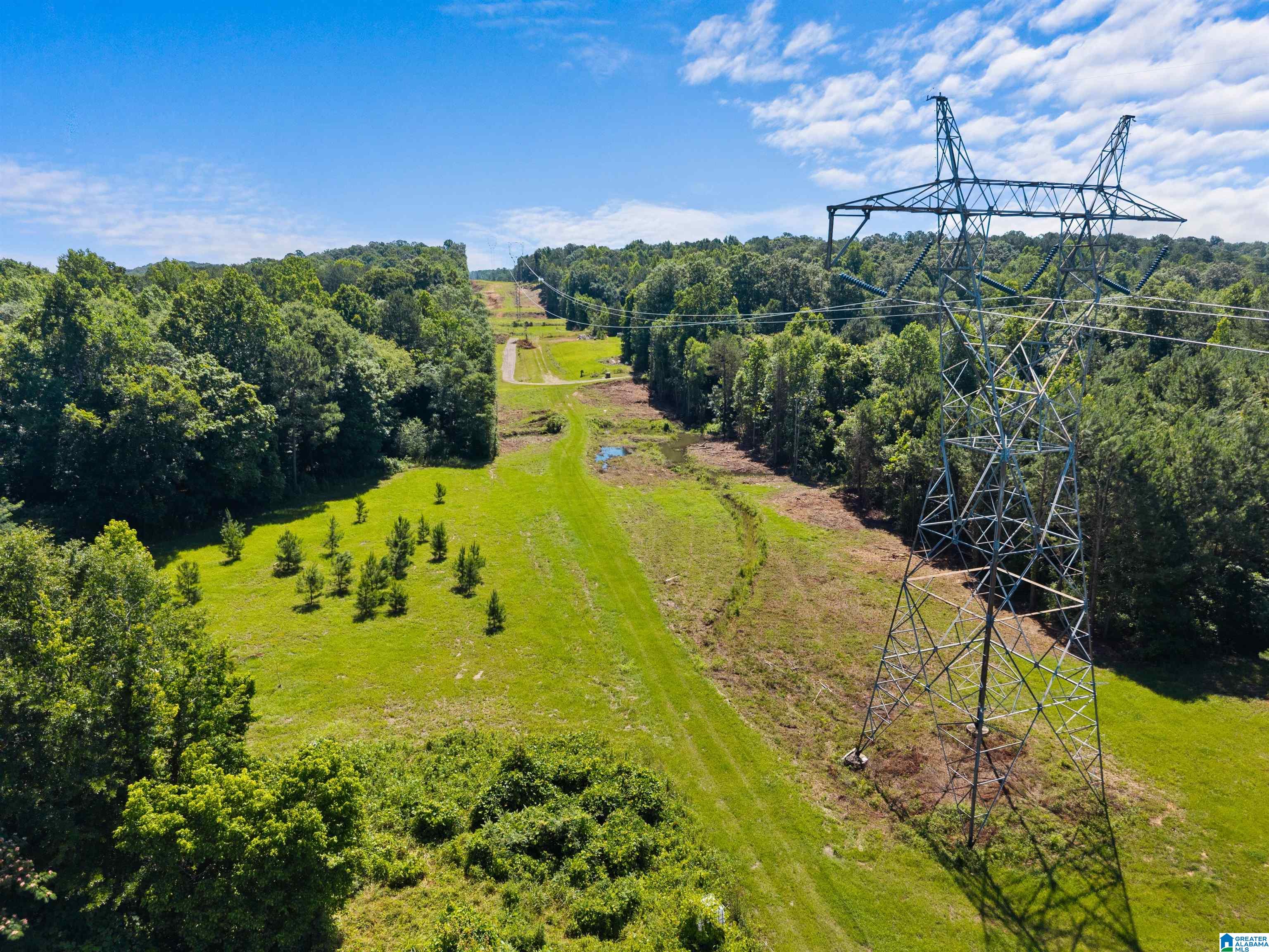 7240 POCAHONTAS ROAD Lot 1