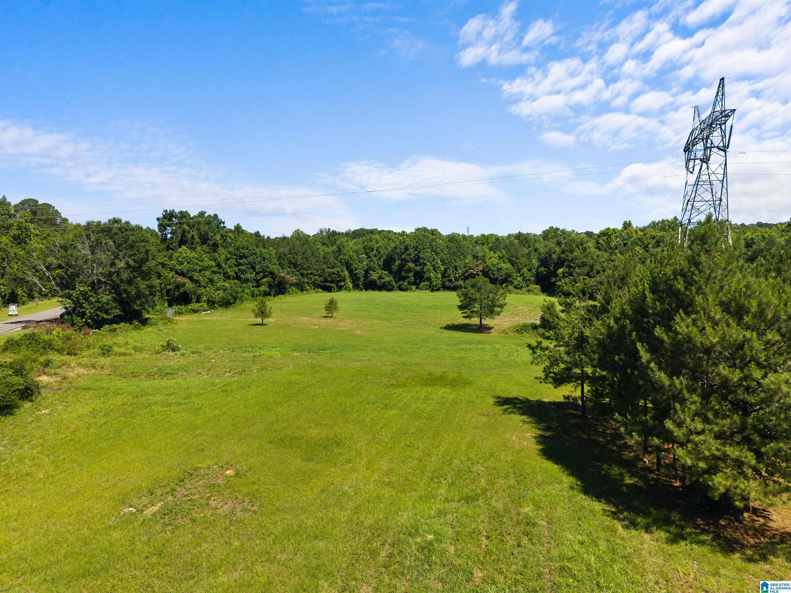 7240 POCAHONTAS ROAD Lot 1