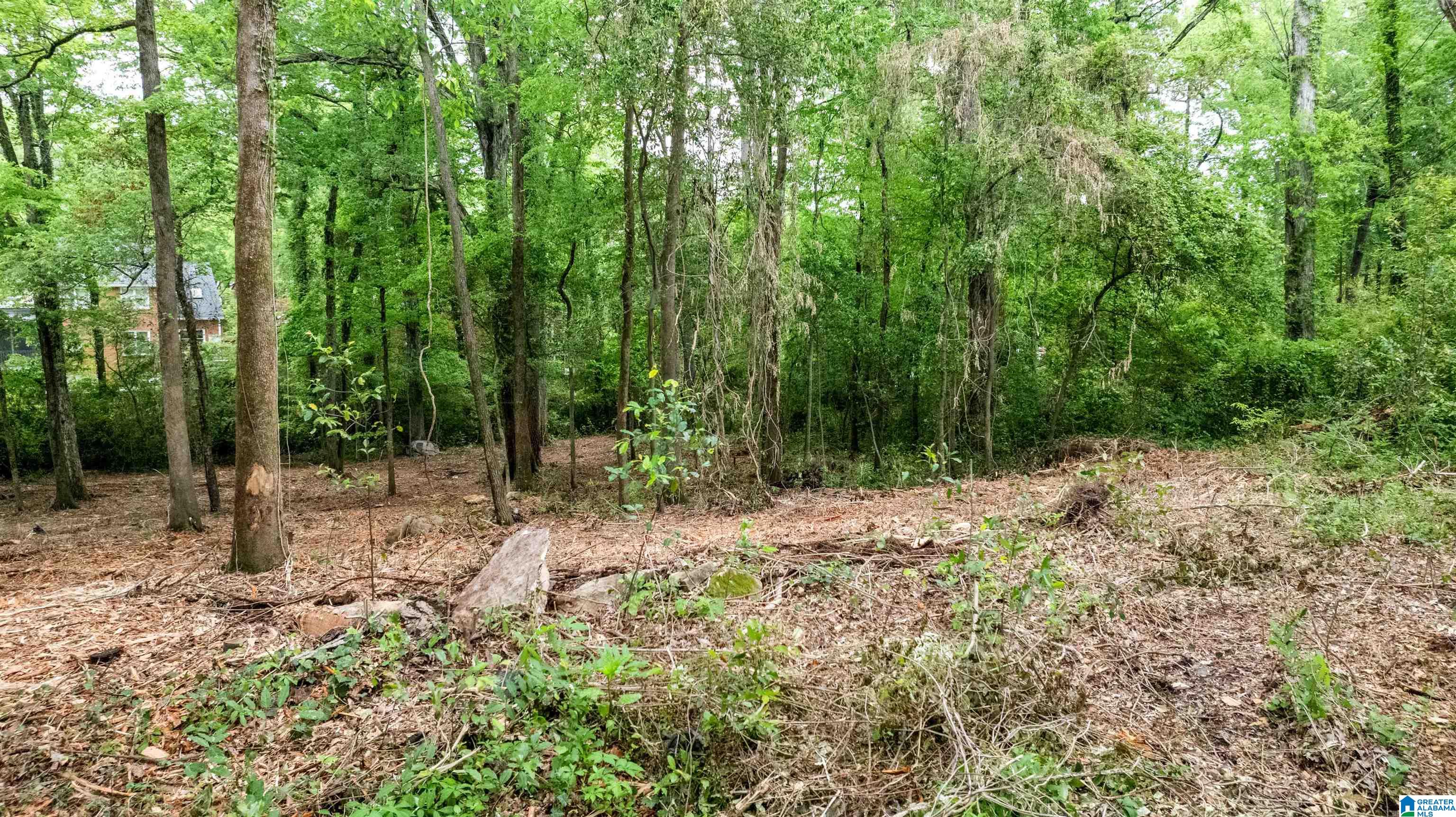 3613 MONTCLAIR ROAD 000