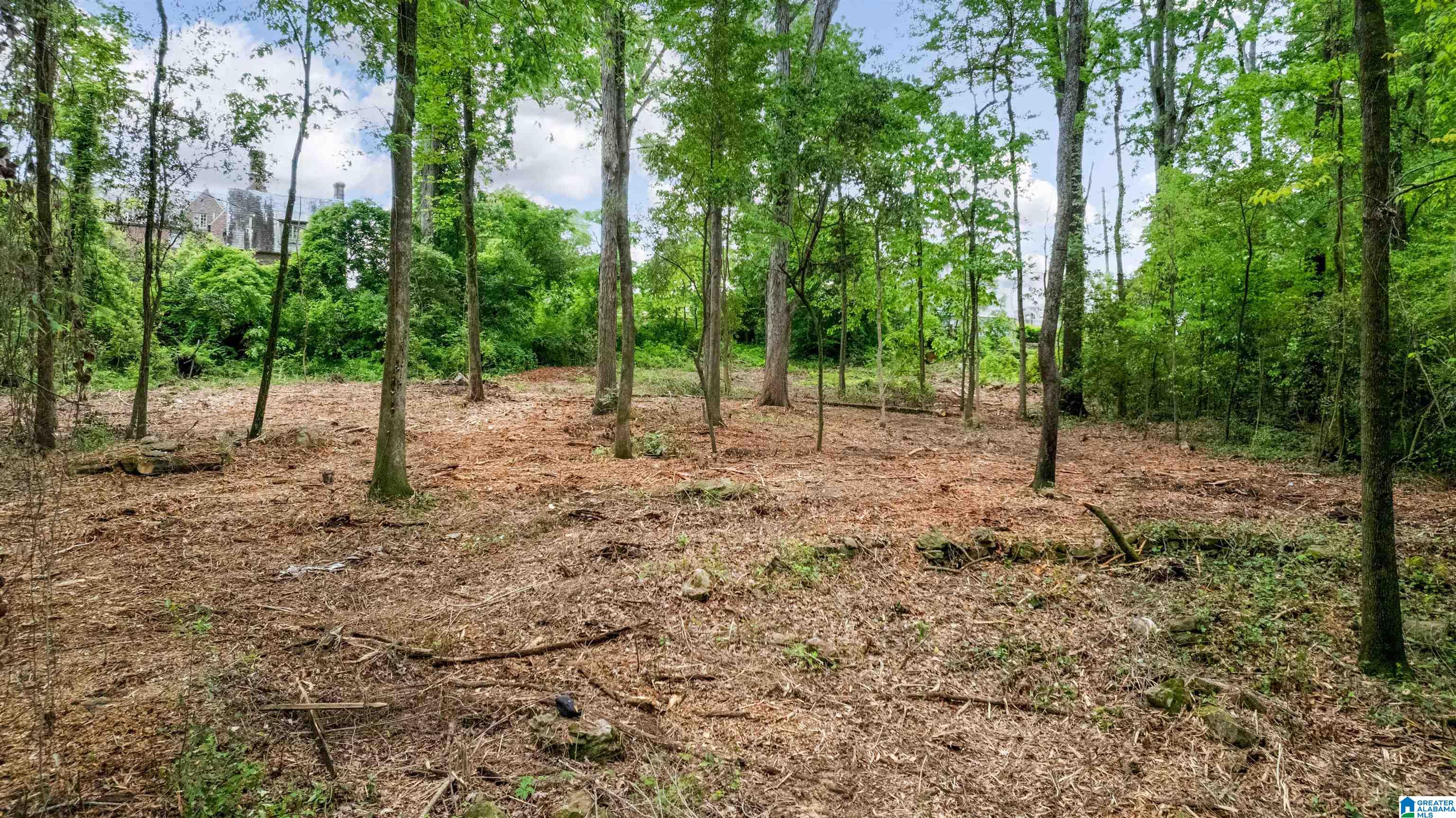 3613 MONTCLAIR ROAD 000