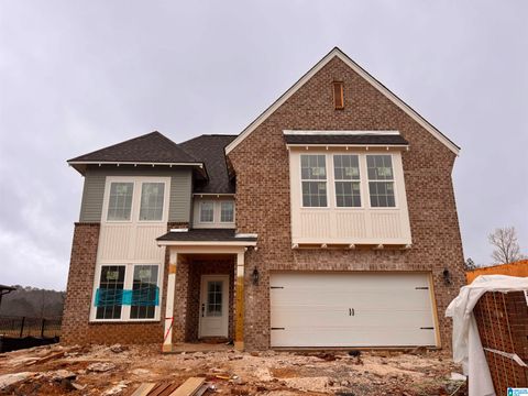 3446 BLACKRIDGE CIRCLE HOOVER AL 35244