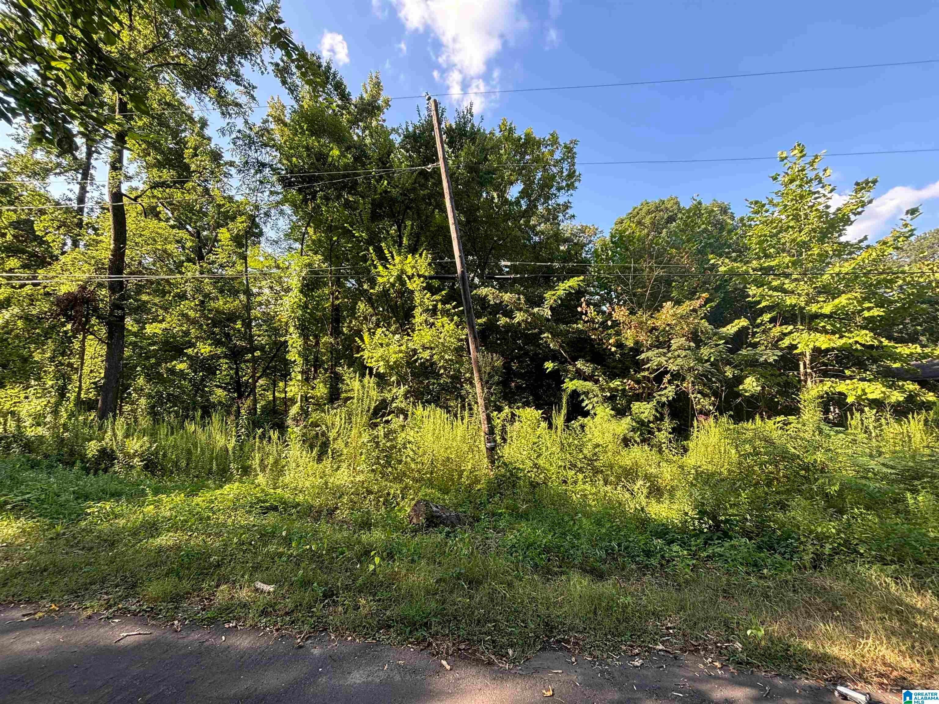 Photo 1 of 8 — 926 NAVARRO LANE 926, IRONDALE, AL 35235