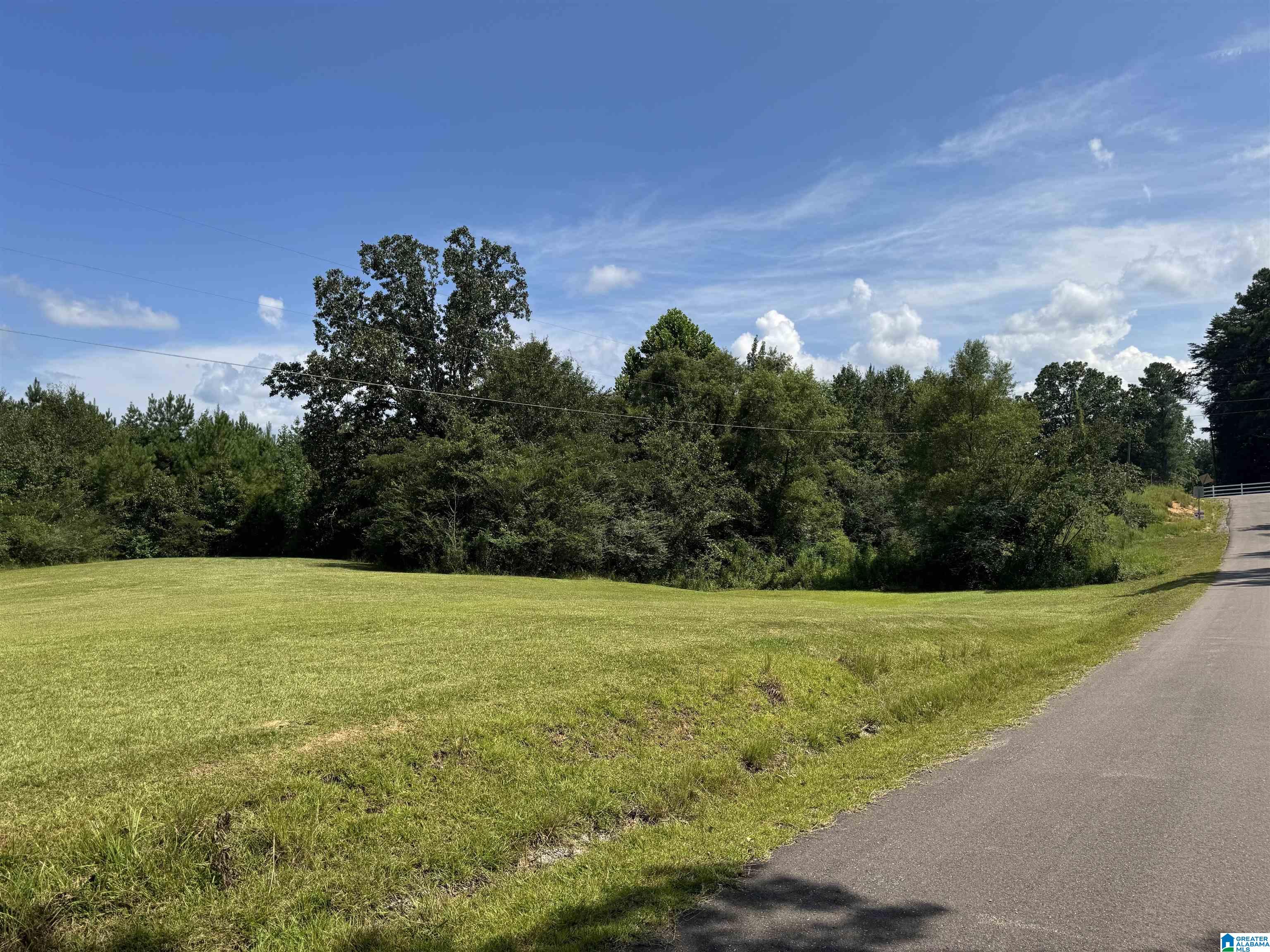 Photo 1 of 5 — SHORT TOWN ROAD 123, VANCE, AL 35490