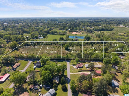 PETERSON AVE, THORSBY, AL 35171 - Image ab6f63dfb40d3f07ad2bd10bc19f0f83/1969148100