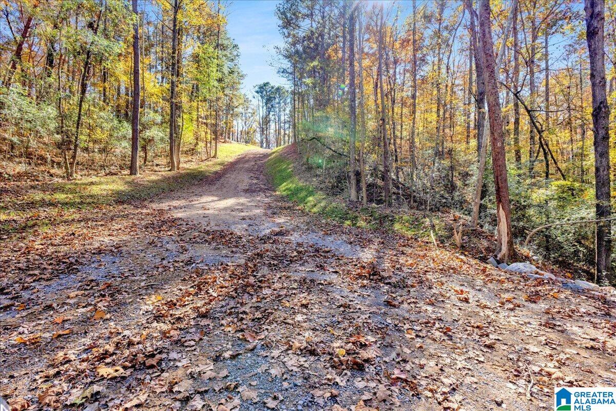 Photo 1 of 31 — 0 HAMMOCK ROAD 0, TRUSSVILLE, AL 35173