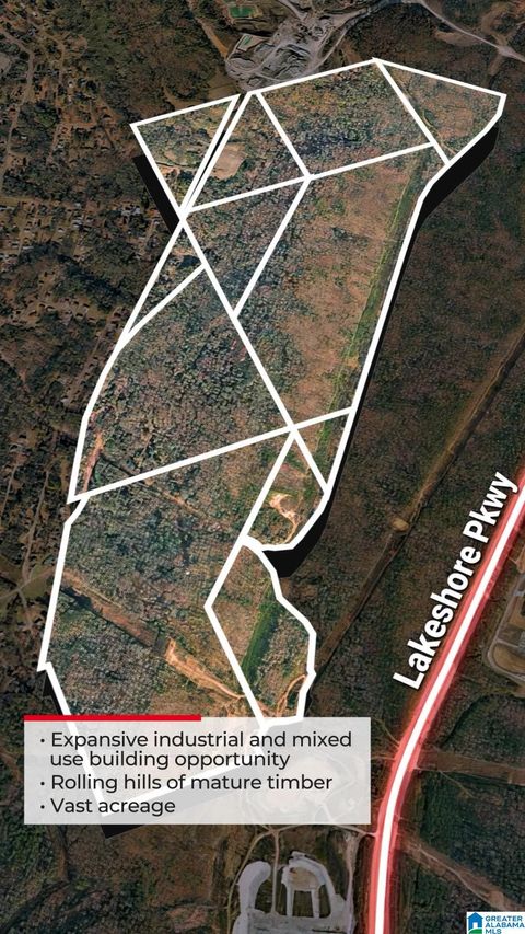 3397 OVERHILL ROAD Parcel 1 BESSEMER AL 35020