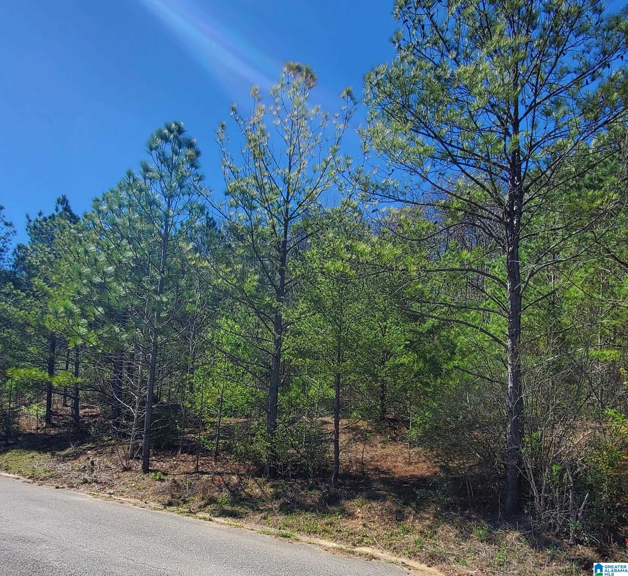 Photo 1 of 1 — 5916 HIGH FOREST DRIVE 81, MCCALLA, AL 35111