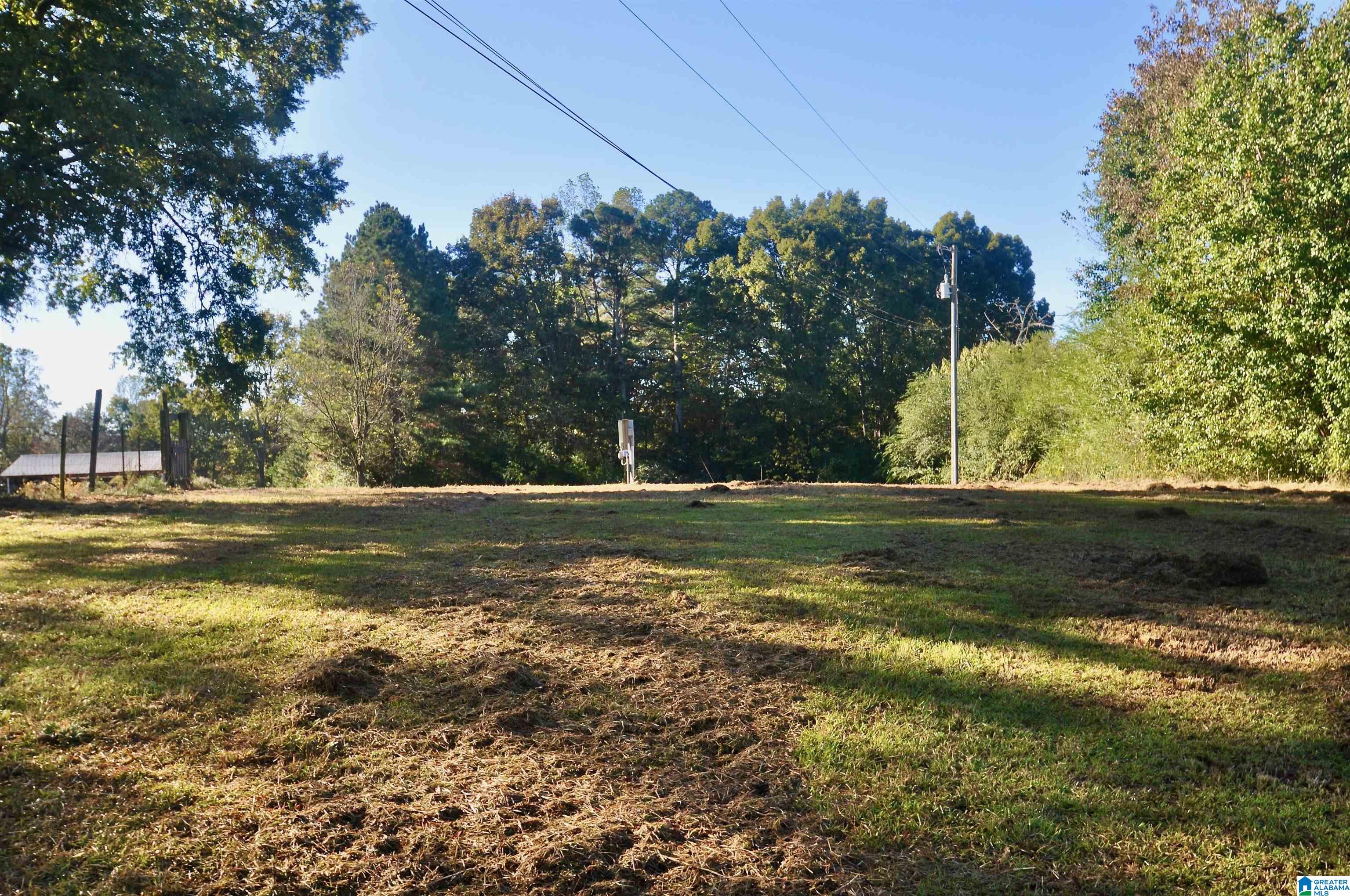 481 COUNTY ROAD 1122 0