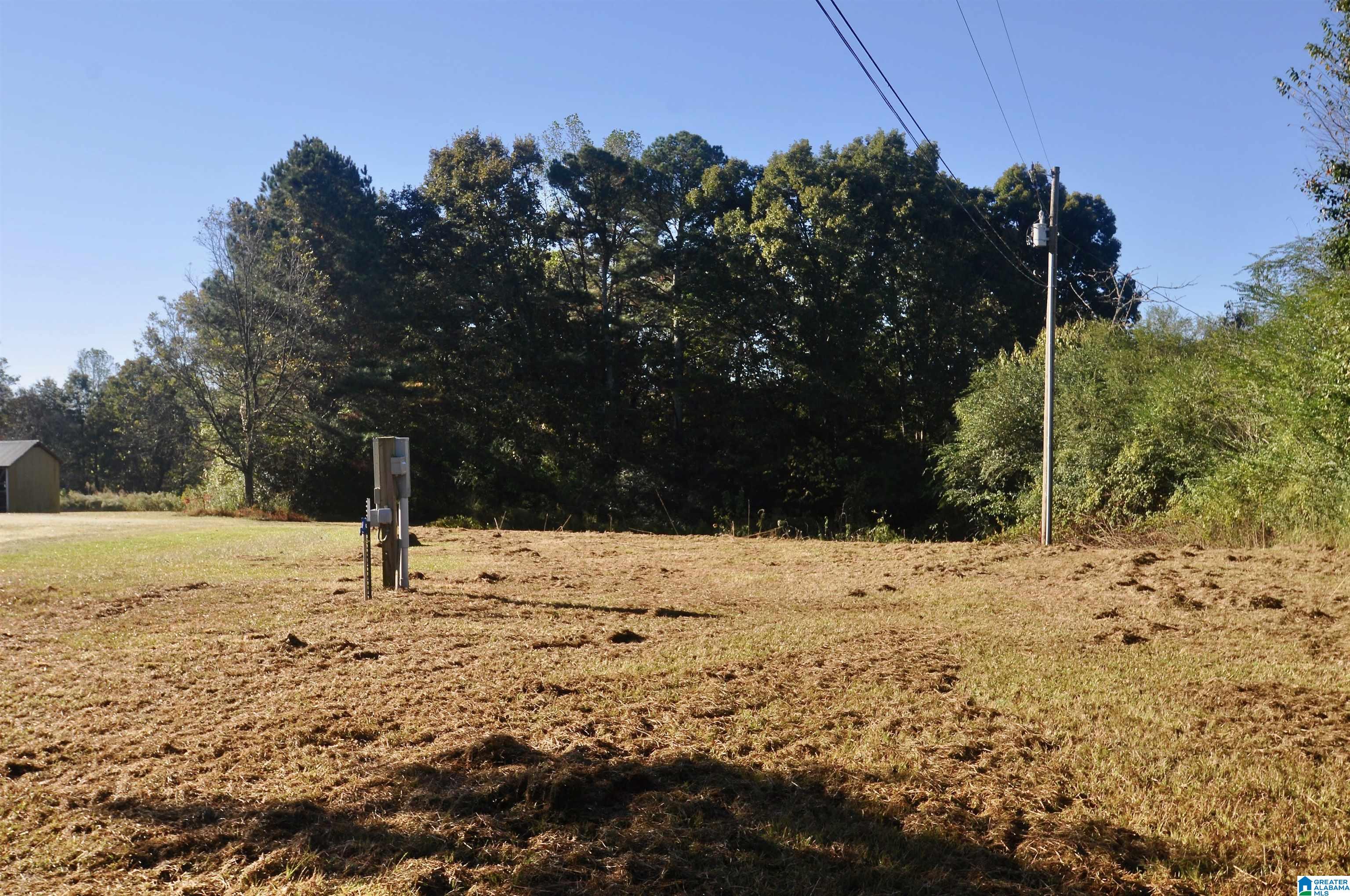 481 COUNTY ROAD 1122 0