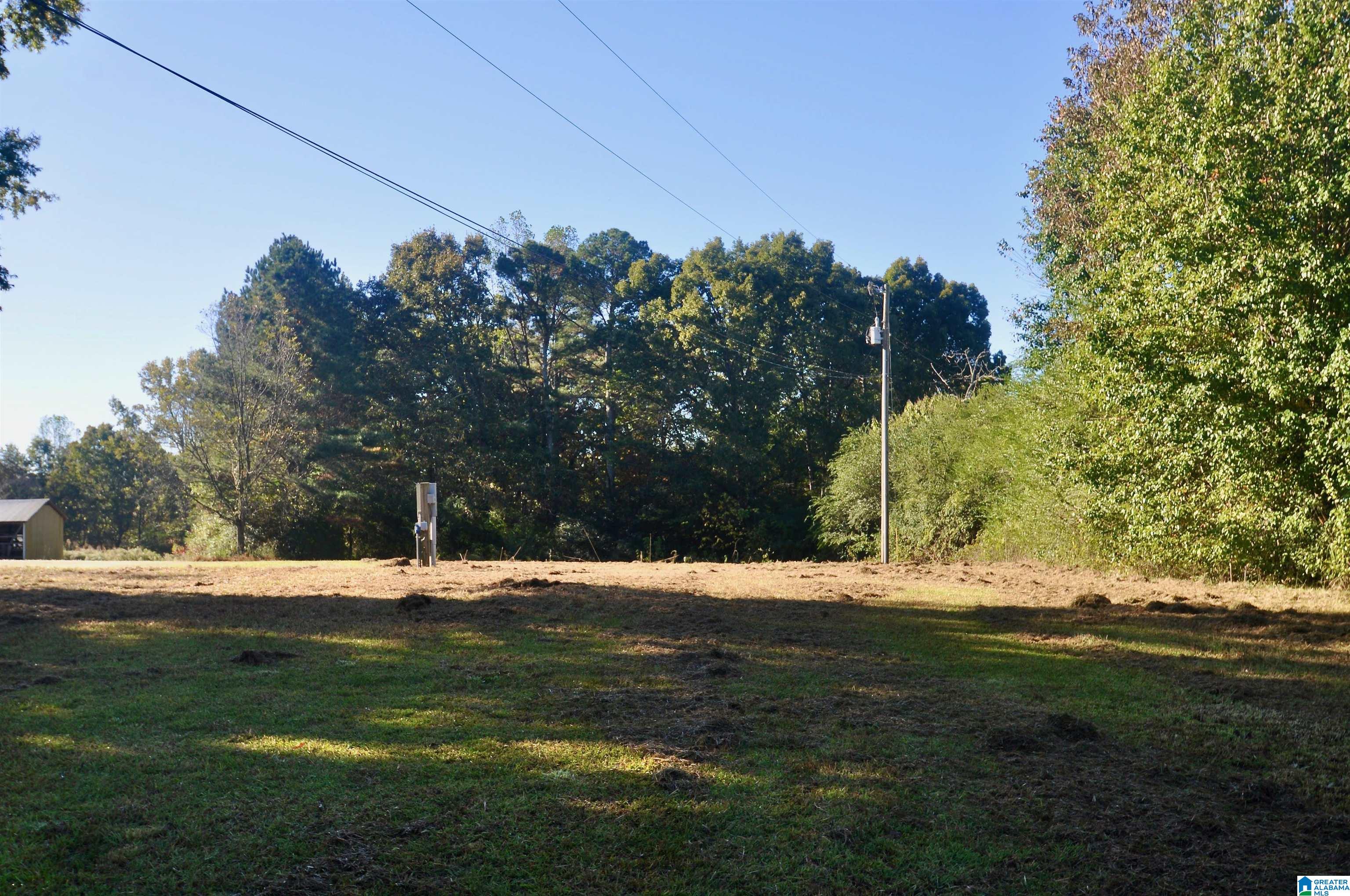 481 COUNTY ROAD 1122 0