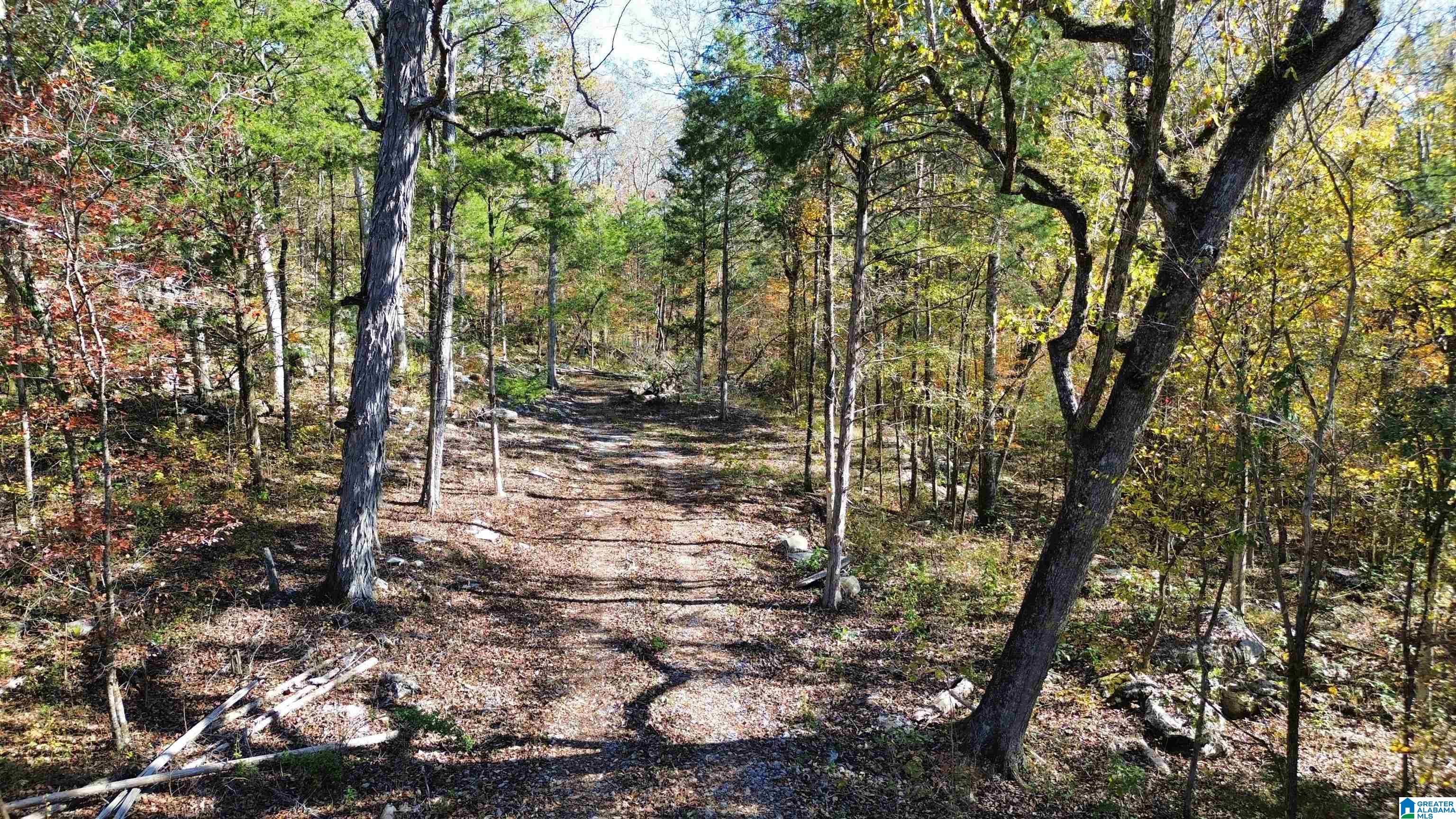 0 MILL CREEK ROAD 20