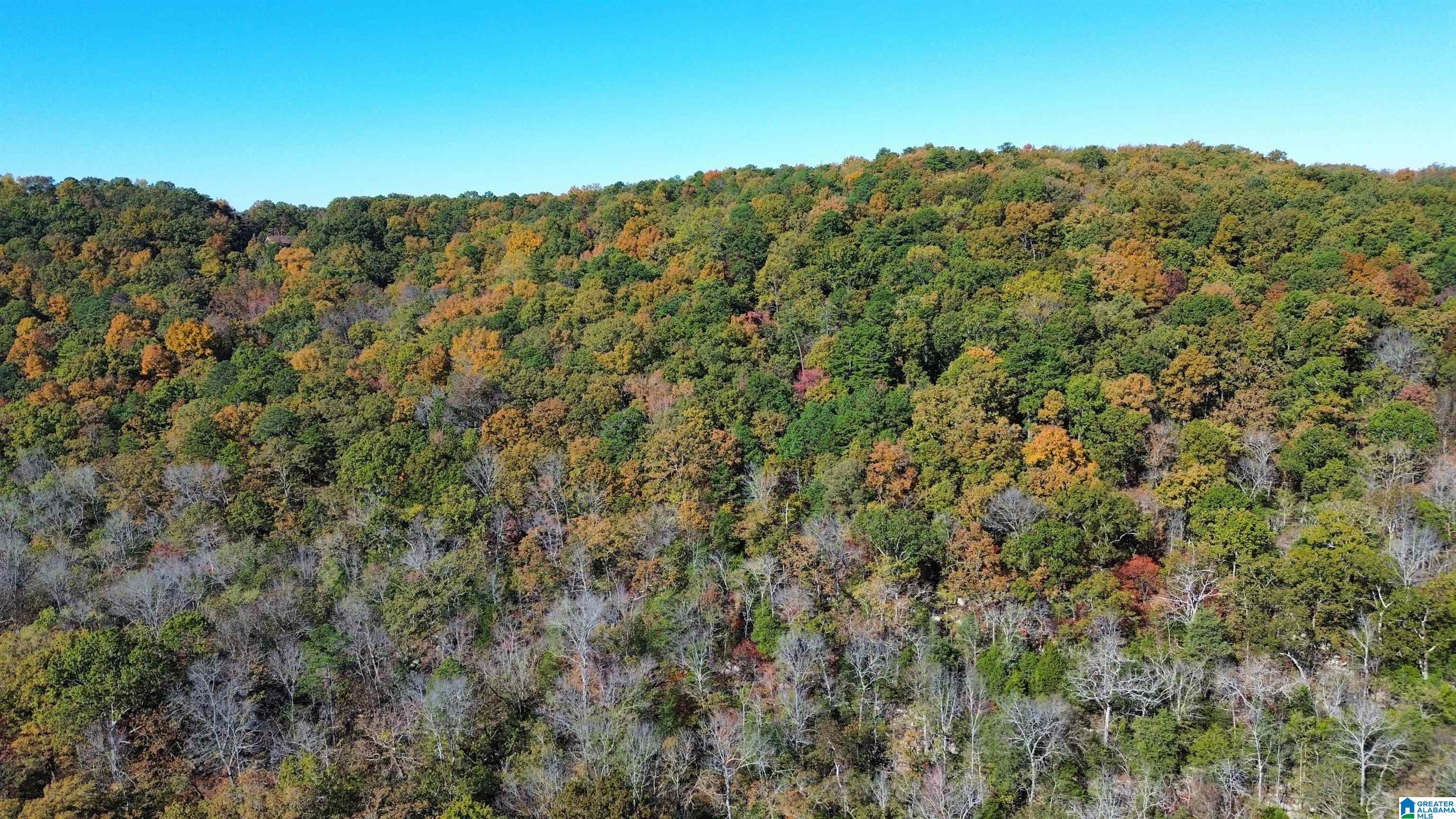 0 MILL CREEK ROAD 20