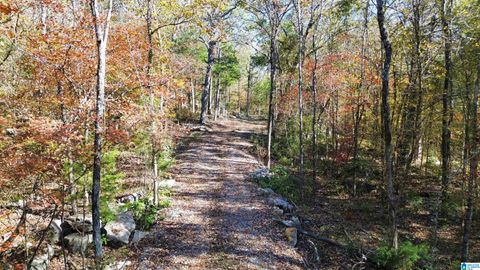 0 MILL CREEK ROAD 20 WARRIOR AL 35180