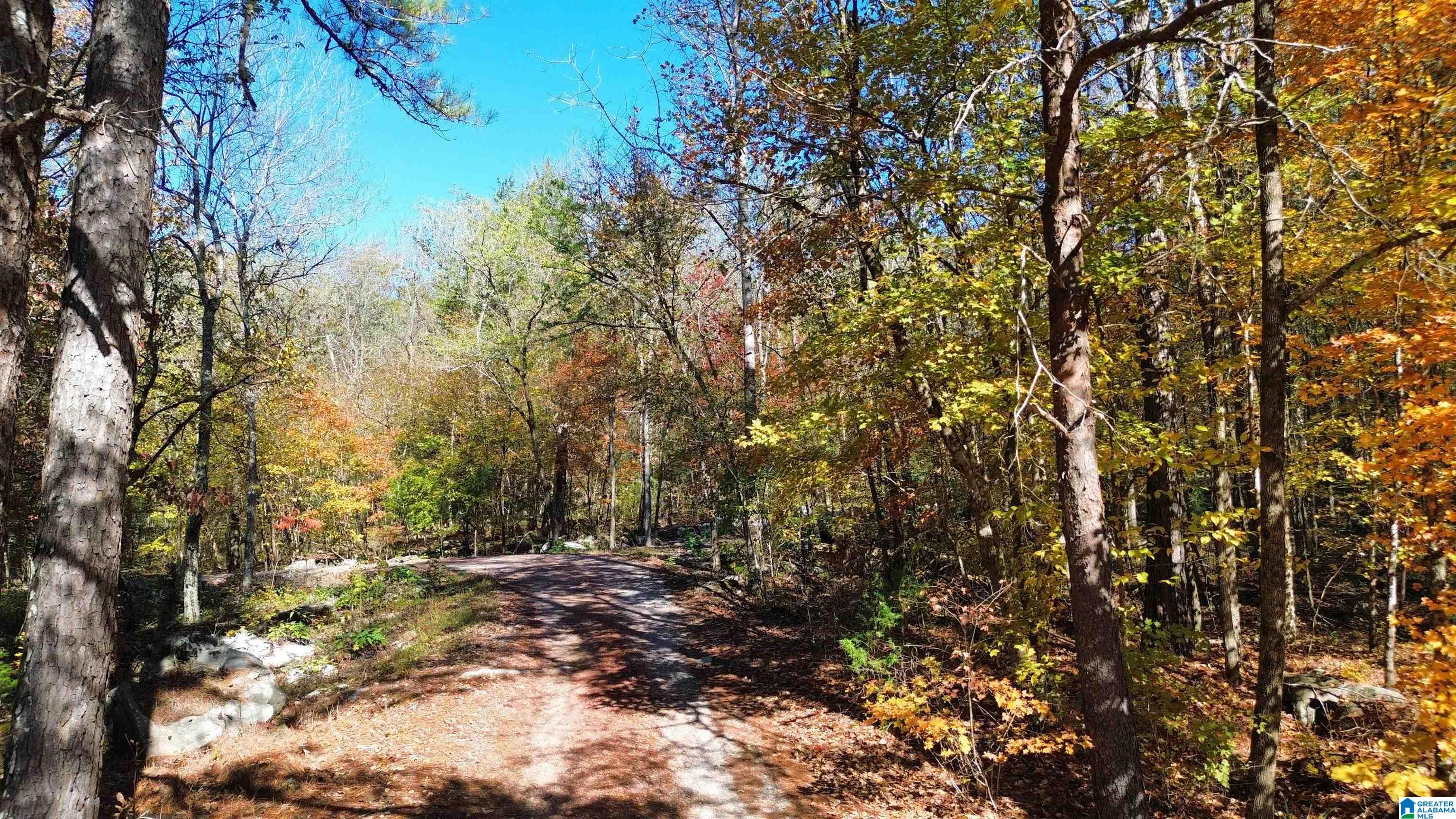 0 MILL CREEK ROAD 20