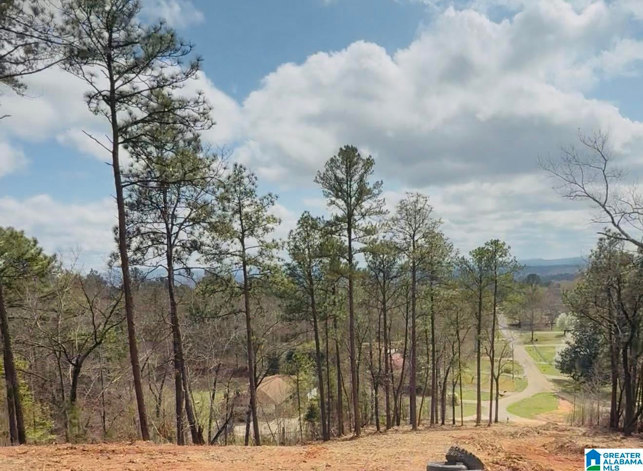 MONTA VISTA ROAD 0