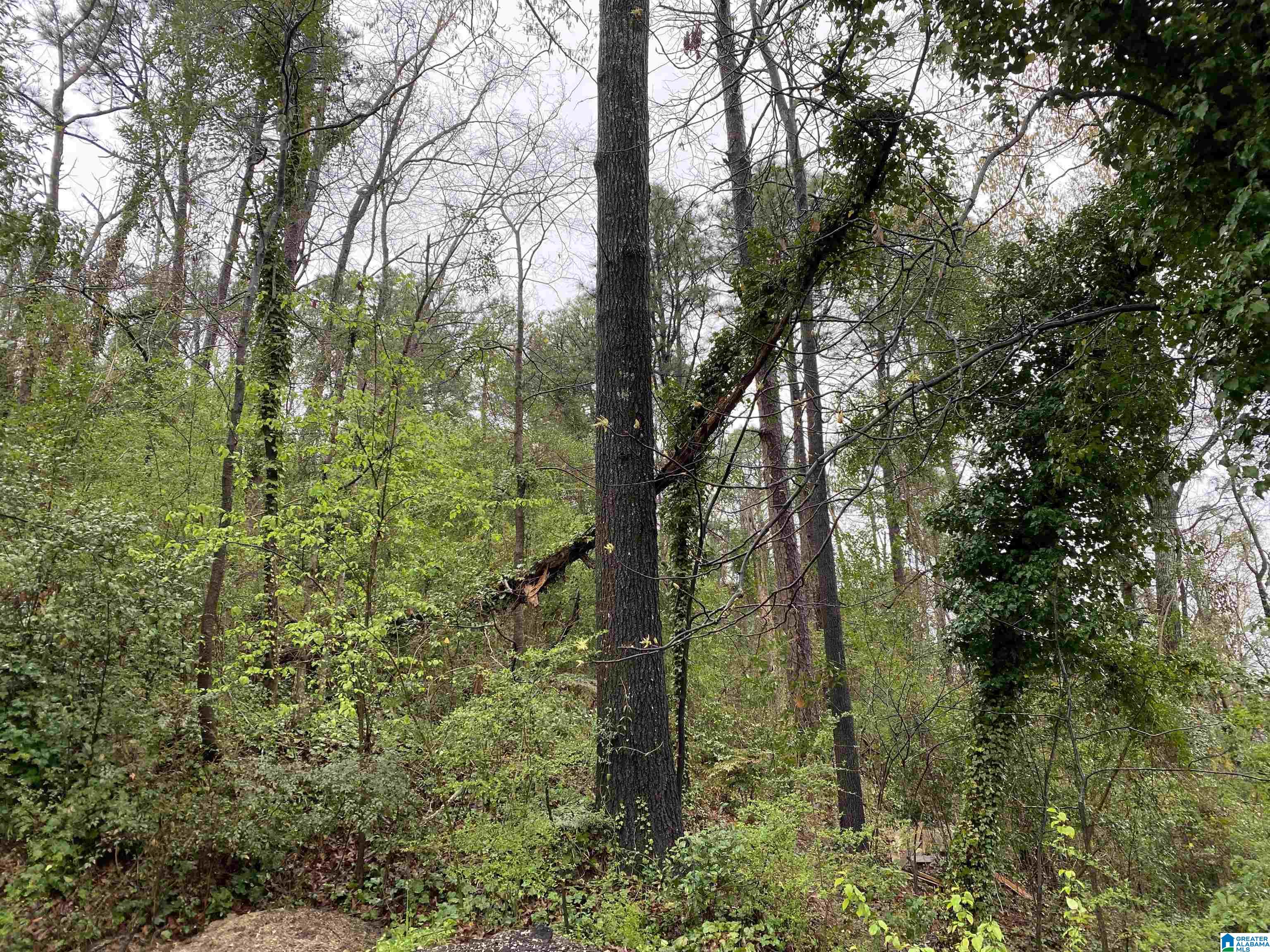 217 EDGEVIEW AVENUE 8A