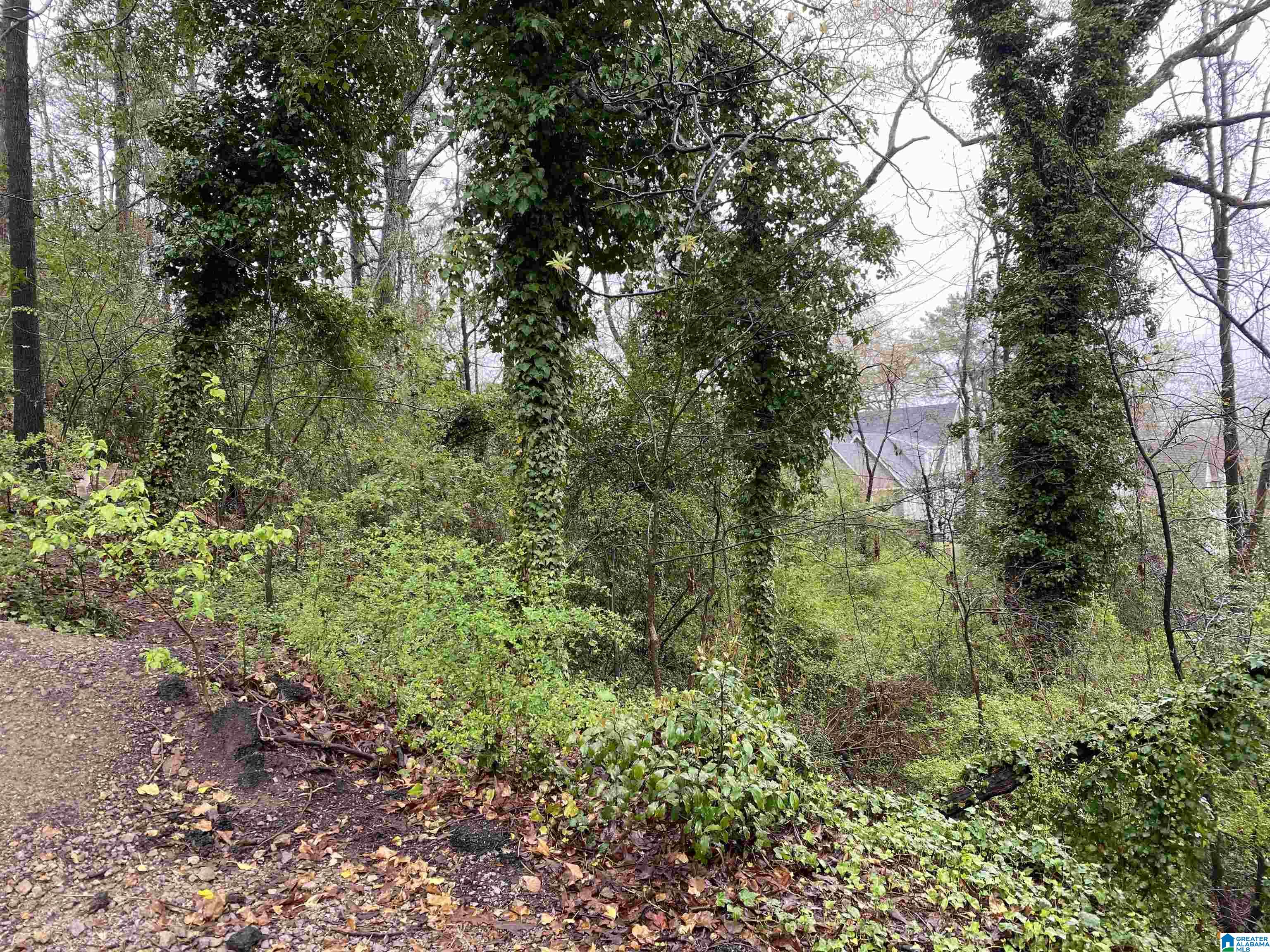 217 EDGEVIEW AVENUE 8A