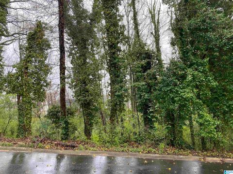 217 EDGEVIEW AVENUE 8A HOMEWOOD AL 35209