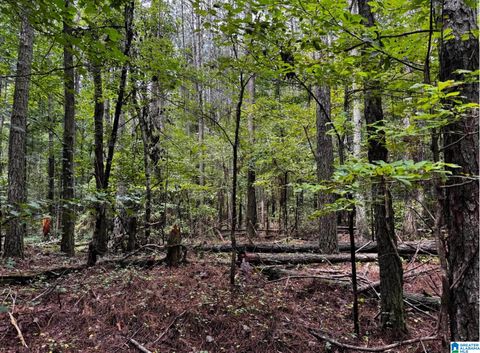 6595 STONE POINT DRIVE 1 BESSEMER AL 35022