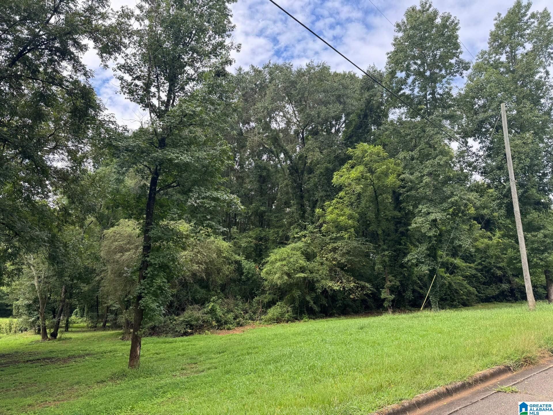 5TH AVENUE SW 1.6 acres
