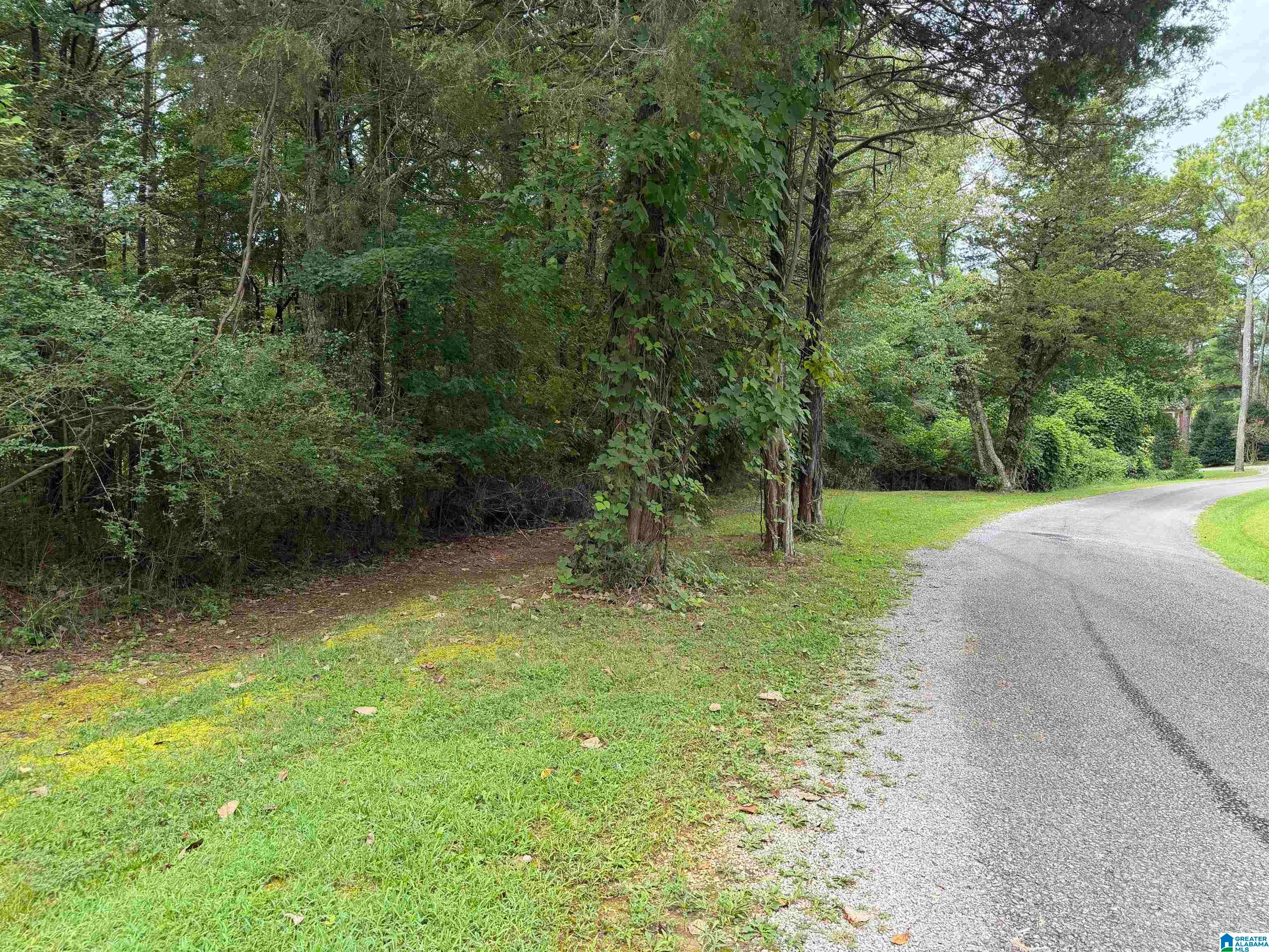 307 GREEN ROAD 0